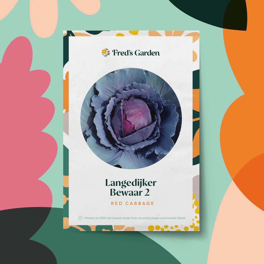 Rödkål 'Langedijker Bewaar 2' (frö)